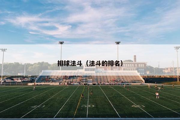 排球法斗（法斗的排名）