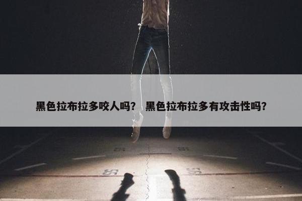 黑色拉布拉多咬人吗？ 黑色拉布拉多有攻击性吗？