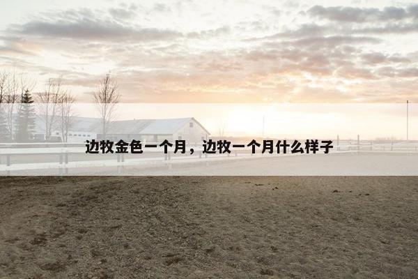 边牧金色一个月，边牧一个月什么样子