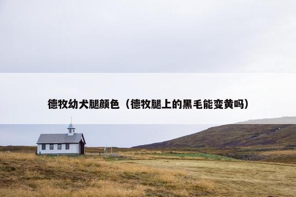 德牧幼犬腿颜色（德牧腿上的黑毛能变黄吗）
