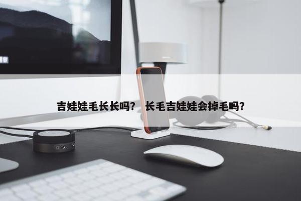 吉娃娃毛长长吗？ 长毛吉娃娃会掉毛吗？