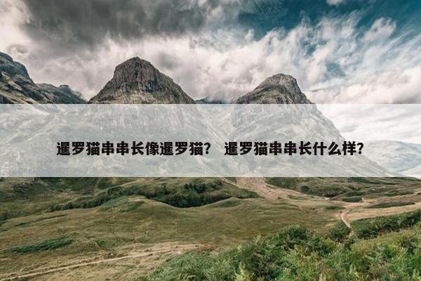 暹罗猫串串长像暹罗猫？ 暹罗猫串串长什么样？