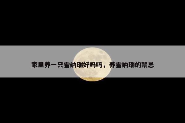 家里养一只雪纳瑞好吗吗，养雪纳瑞的禁忌