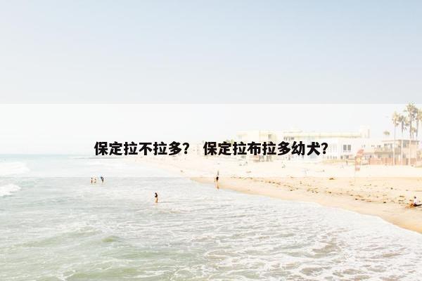 保定拉不拉多？ 保定拉布拉多幼犬？