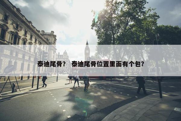 泰迪尾骨？ 泰迪尾骨位置里面有个包？