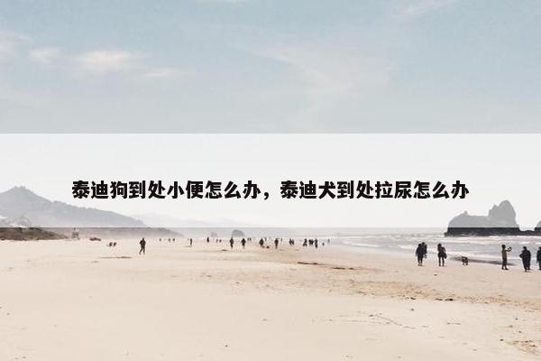 泰迪狗到处小便怎么办，泰迪犬到处拉尿怎么办