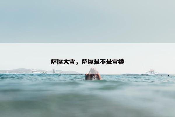 萨摩大雪，萨摩是不是雪橇