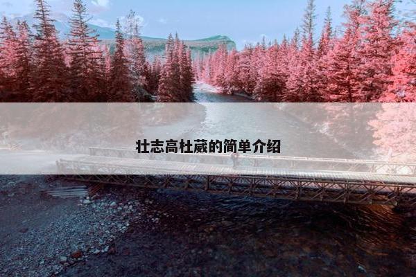 壮志高杜葳的简单介绍