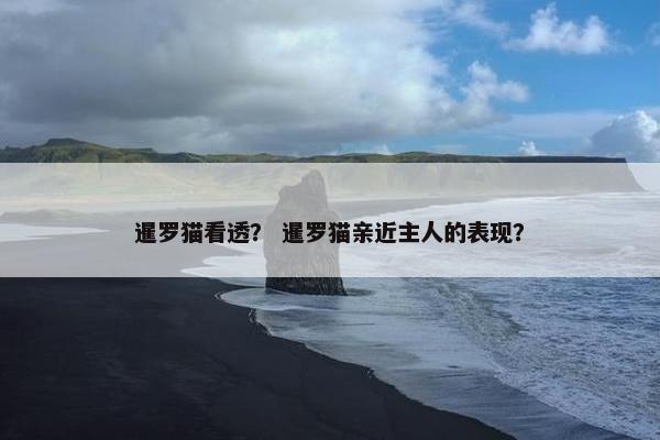 暹罗猫看透？ 暹罗猫亲近主人的表现？