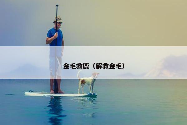 金毛救鹿（解救金毛）