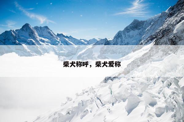 柴犬称呼，柴犬爱称