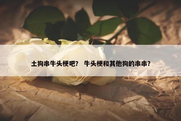 土狗串牛头梗吧？ 牛头梗和其他狗的串串？
