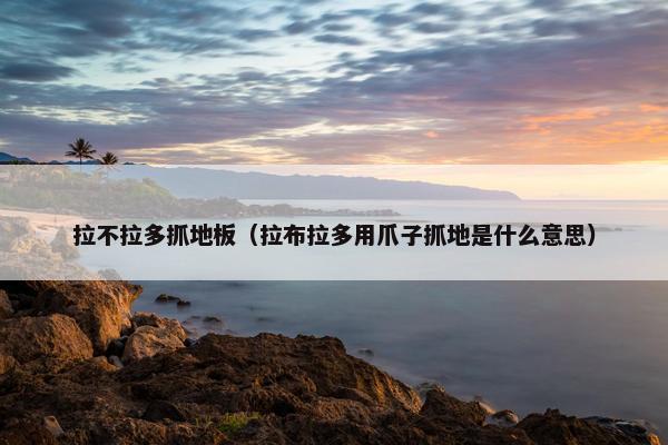 拉不拉多抓地板（拉布拉多用爪子抓地是什么意思）