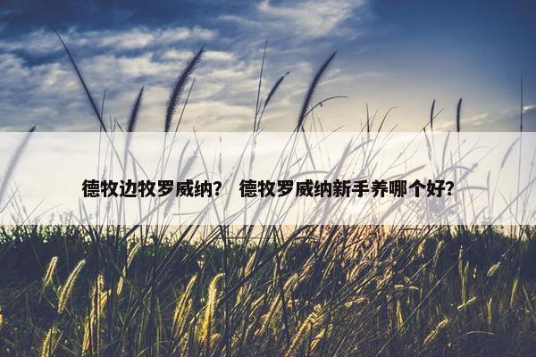 德牧边牧罗威纳？ 德牧罗威纳新手养哪个好？