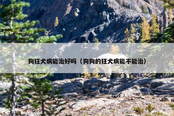 狗狂犬病能治好吗（狗狗的狂犬病能不能治）