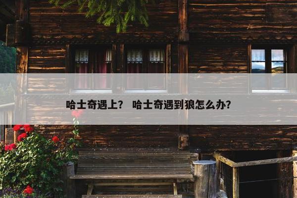 哈士奇遇上？ 哈士奇遇到狼怎么办？