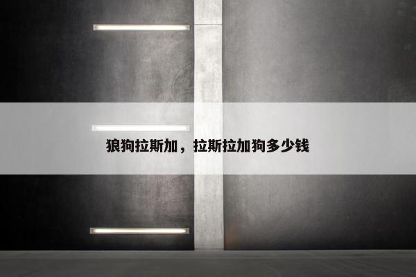 狼狗拉斯加，拉斯拉加狗多少钱