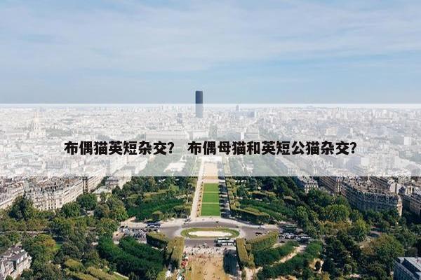 布偶猫英短杂交？ 布偶母猫和英短公猫杂交？