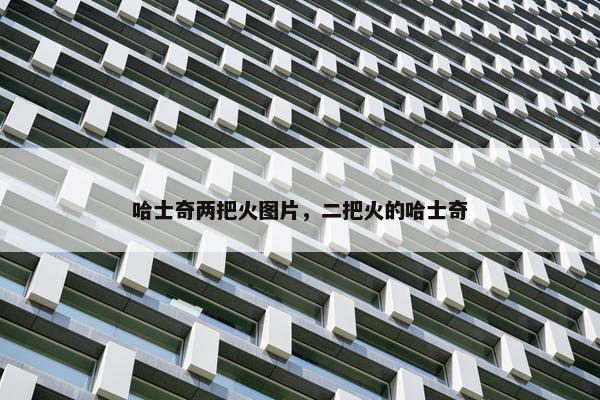 哈士奇两把火图片，二把火的哈士奇