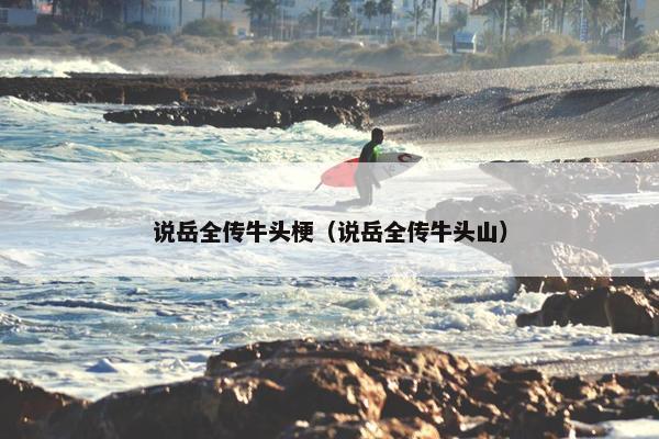 说岳全传牛头梗（说岳全传牛头山）