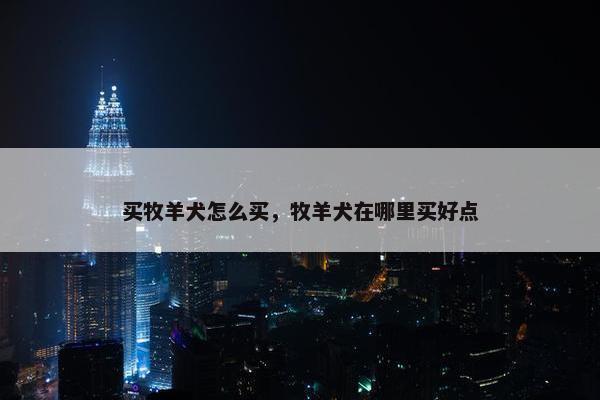 买牧羊犬怎么买，牧羊犬在哪里买好点