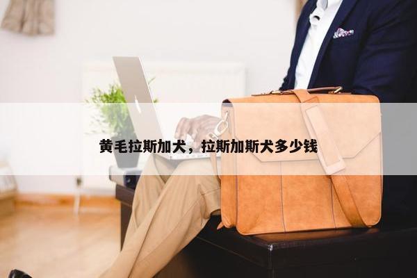 黄毛拉斯加犬，拉斯加斯犬多少钱