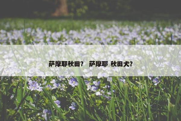 萨摩耶秋田？ 萨摩耶 秋田犬？