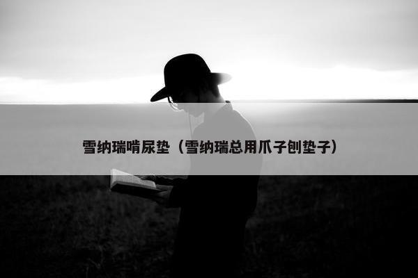 雪纳瑞啃尿垫（雪纳瑞总用爪子刨垫子）