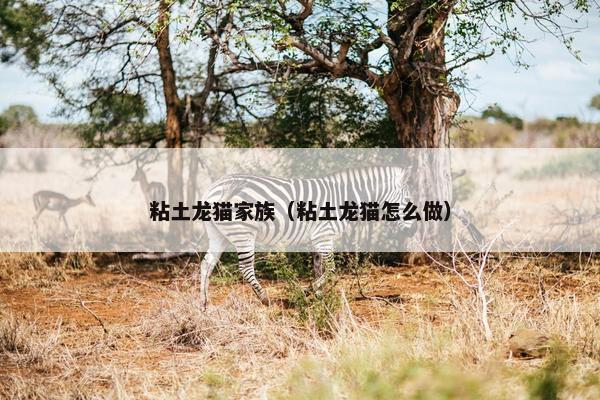 粘土龙猫家族（粘土龙猫怎么做）