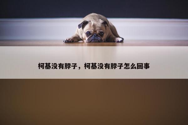 柯基没有脖子，柯基没有脖子怎么回事