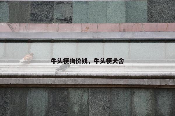 牛头梗狗价钱，牛头梗犬舍