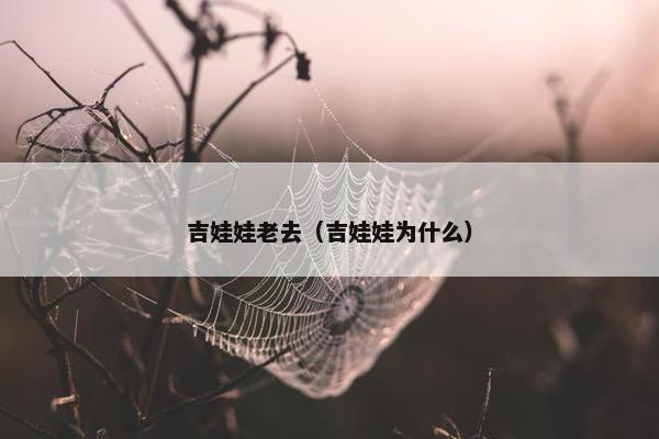 吉娃娃老去（吉娃娃为什么）