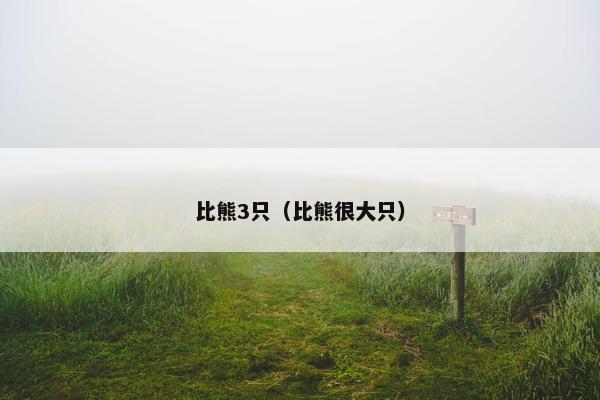比熊3只（比熊很大只）