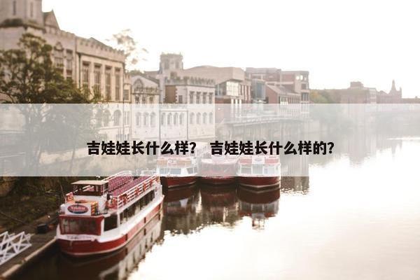吉娃娃长什么样？ 吉娃娃长什么样的？