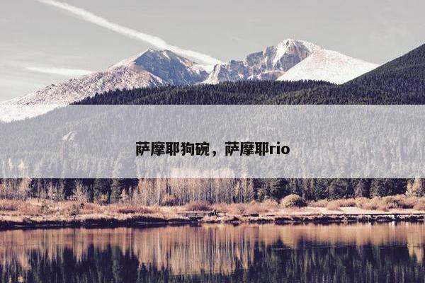 萨摩耶狗碗，萨摩耶rio