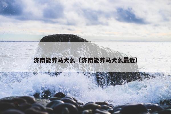 济南能养马犬么（济南能养马犬么最近）