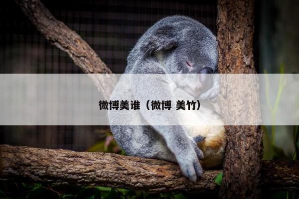 微博美谁（微博 美竹）