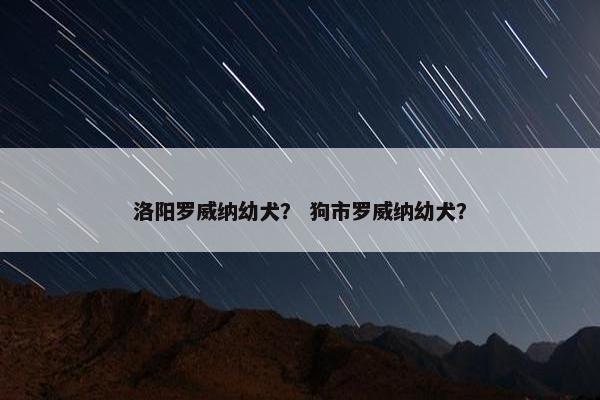 洛阳罗威纳幼犬？ 狗市罗威纳幼犬？