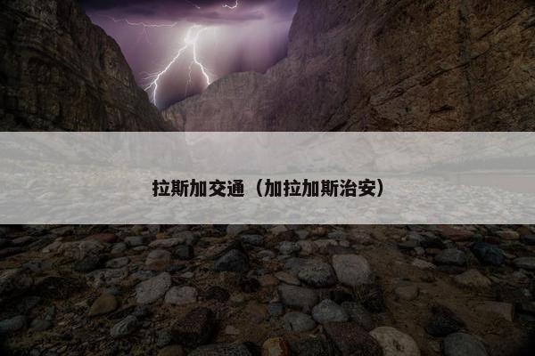 拉斯加交通（加拉加斯治安）