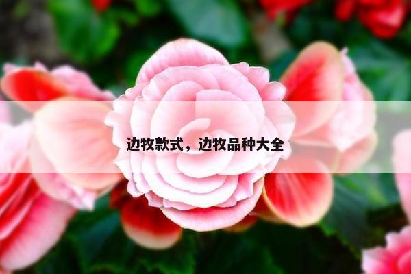 边牧款式，边牧品种大全