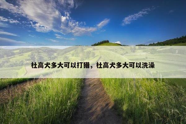 杜高犬多大可以打猎，杜高犬多大可以洗澡