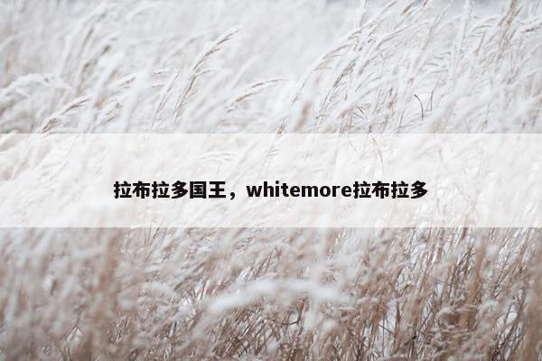 拉布拉多国王，whitemore拉布拉多