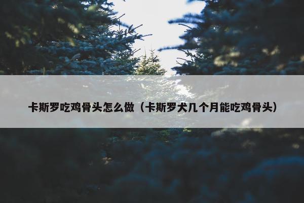 卡斯罗吃鸡骨头怎么做（卡斯罗犬几个月能吃鸡骨头）
