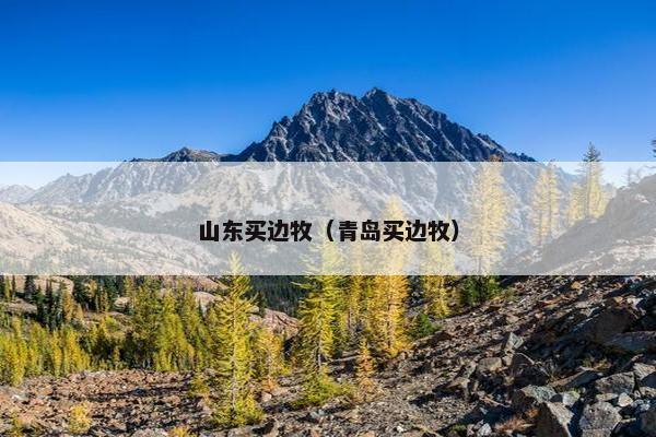 山东买边牧（青岛买边牧）