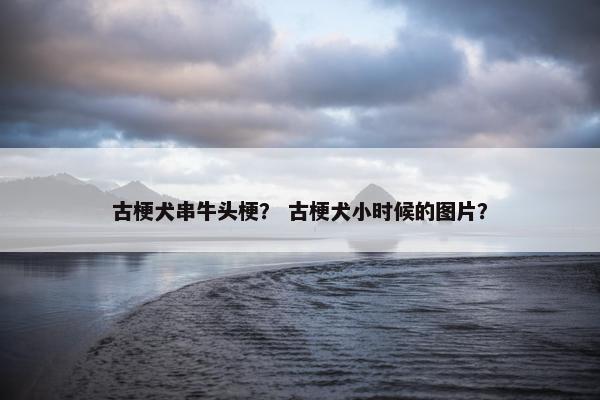 古梗犬串牛头梗？ 古梗犬小时候的图片？