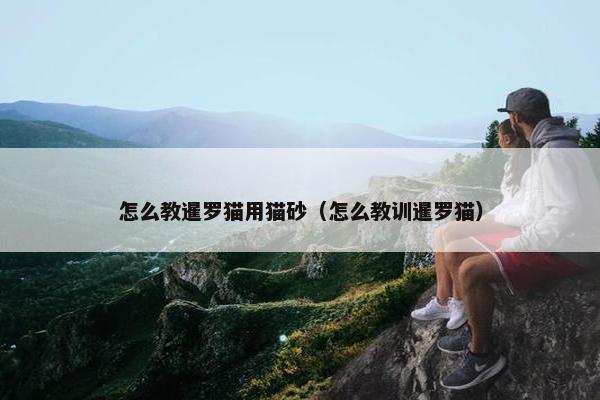 怎么教暹罗猫用猫砂（怎么教训暹罗猫）