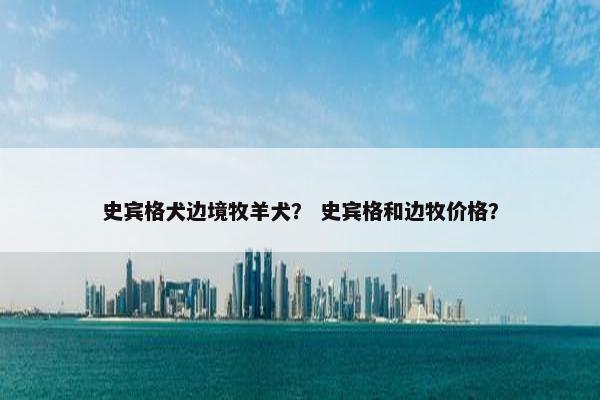史宾格犬边境牧羊犬？ 史宾格和边牧价格？