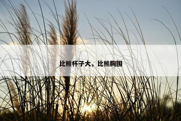 比熊杯子大，比熊胸围