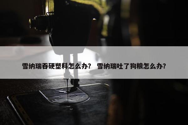 雪纳瑞吞硬塑料怎么办？ 雪纳瑞吐了狗粮怎么办？