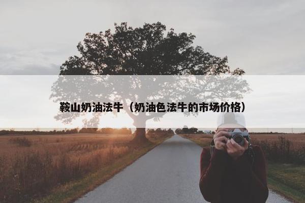 鞍山奶油法牛（奶油色法牛的市场价格）